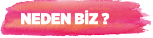 neden-biz